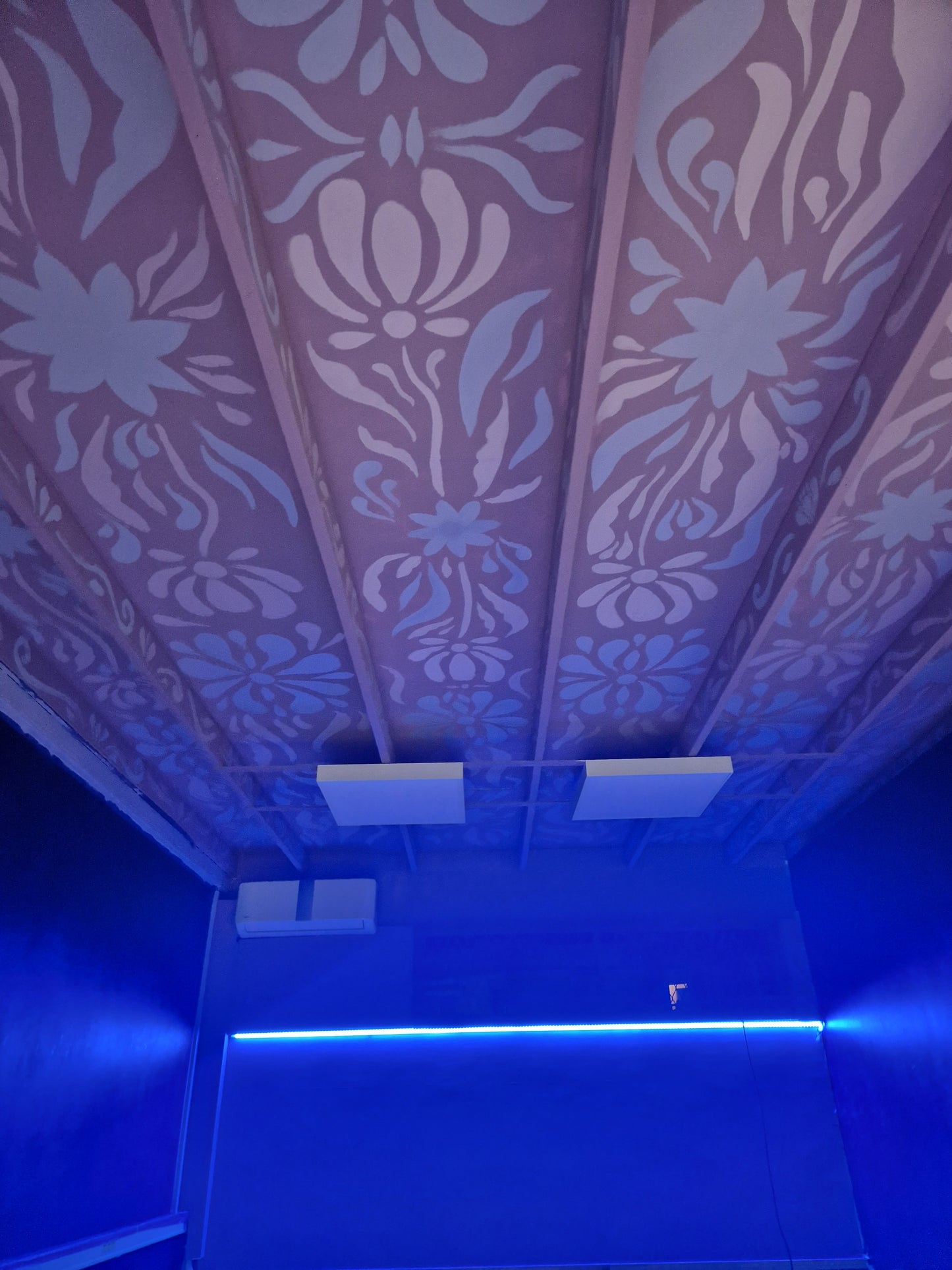 Le plafond enchanté